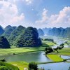 良良的头像