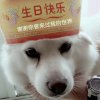 不要忘记我爱你的头像