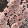 梦醒时分∽∽的头像