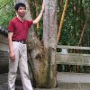 一缕阳光的头像
