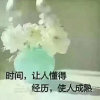  陌～离的头像