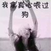 燕子的头像