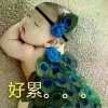 幸福女神的头像