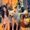 小莹酱的头像