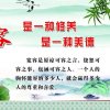 涛的头像