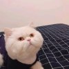漾濞你泽的头像
