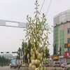 感恩洁郡的头像