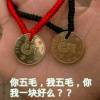 执着的头像