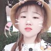 嚣张的猫猫的头像
