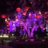 明月的头像
