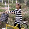 开心果的头像