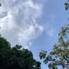 吉祥如意的头像