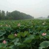 似水年华的头像