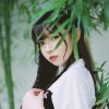 浅浅的头像