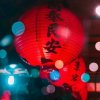 小蜜蜂的头像