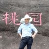 强哥的头像