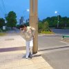 往事随风的头像