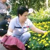 娟的头像