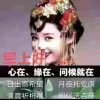 球球的头像