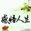 感悟人生的头像