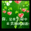 Ff的头像