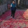 馨的头像