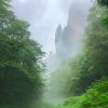 一念永恒的头像