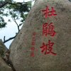 游客的头像