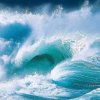 浪的头像