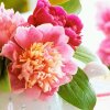 幸福《拒加微信》的头像