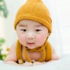 开心鸟的头像