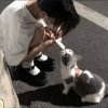 姜岑的头像