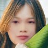 陳茵的头像