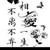你诺安好更是晴天的头像
