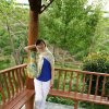 梦的衣裳的头像