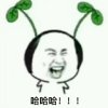 牛牛的头像