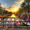 我爱我家的头像