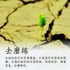 选峰的头像
