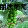 晴天的头像