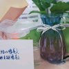 忧伤中勿扰(ಡωಡ) (●—●)的头像