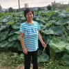 ZHS的头像