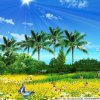   DJ:LJM的头像