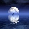 海上生明月的头像