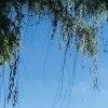退出《勿扰》的头像