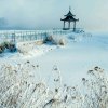 小小(这个号不必回送花)的头像