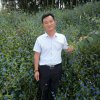 徐少华的头像