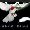 阳光的头像