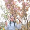 小龙女的头像