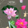 @雨蒙蒙。的头像
