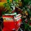 逍遥逸士（枸杞销售）的头像